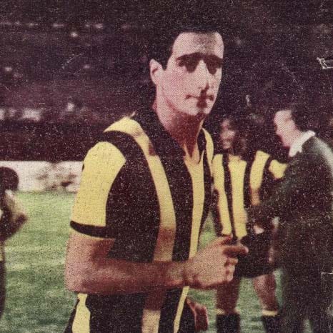 Player Image
