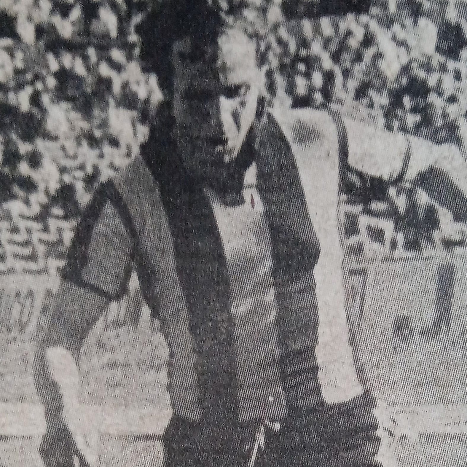 Player Image
