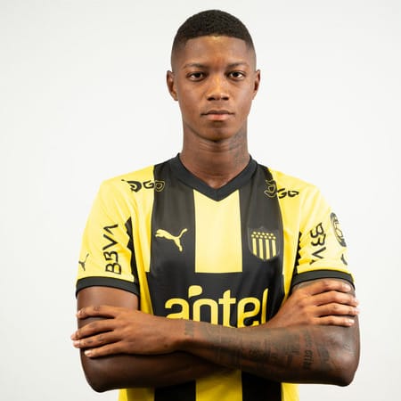 Player Image