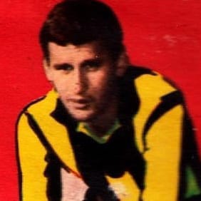 Player Image