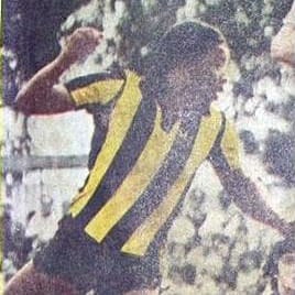 Player Image